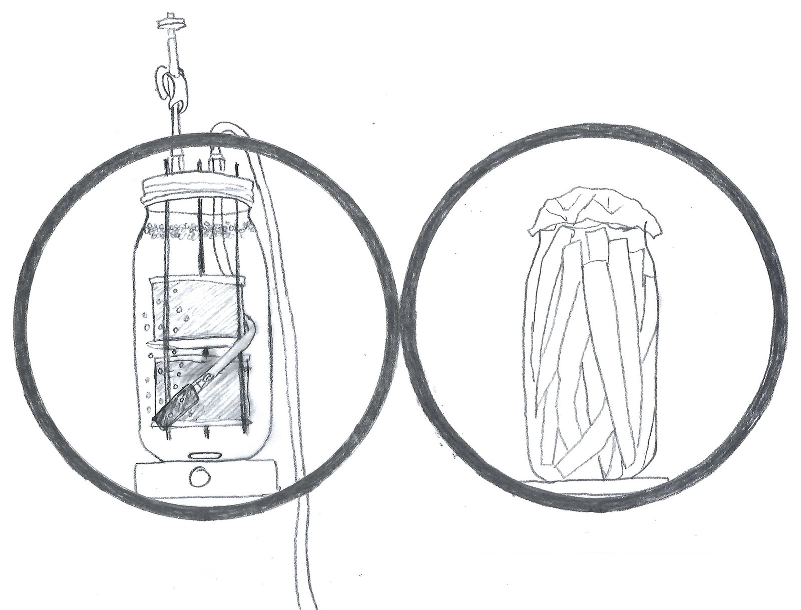 Bioreactors described below in 2L mason jars mounted on small shelves behind floating black circles like clock faces