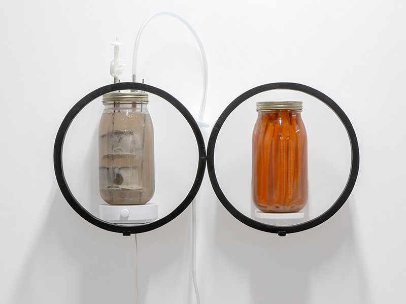 Bioreactors described below in 2L mason jars mounted on small shelves behind floating black circles like clock faces
