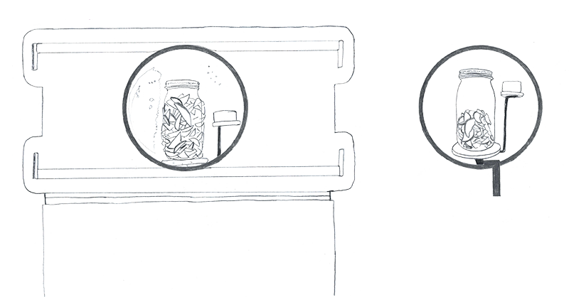 Pencil drawings of the bioreactors described below in 2L mason jars mounted on small shelves behind floating black circles like clock faces