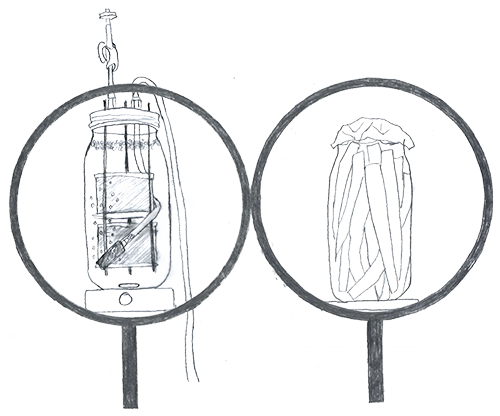 Pencil drawings of the bioreactors described below in 2L mason jars mounted on small shelves behind floating black circles like clock faces